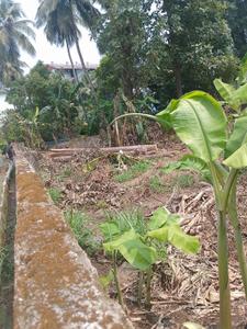 Image of 4138 Sq.ft Residential Plot / Land for sale in Kuttanellur, Thrissur for Rs. 9025000