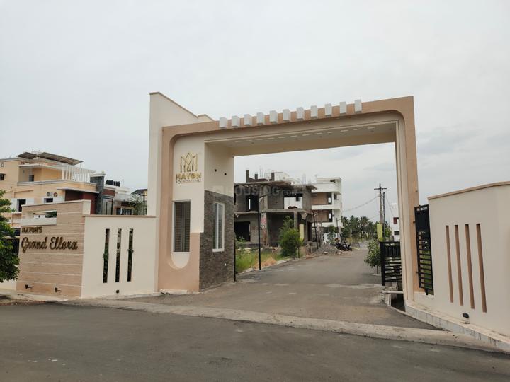 Kalapatti Main Image 1