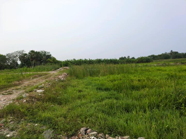Bratachari Gram Main Image 1