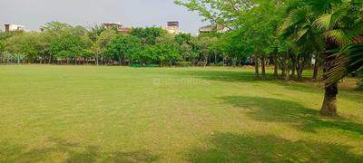 Residential Plot