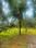Koorkenchery Main Image 1