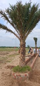 Image of 1500 Sq.ft Residential Plot / Land for sale in Rajgir, Nalanda for Rs. 1650000