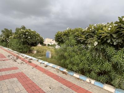 Y Block Plot View 2