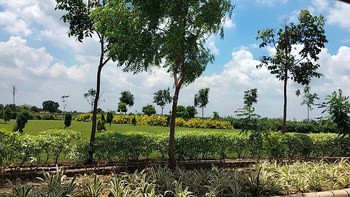 Wallfort Woods Main Image 1