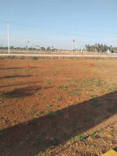 Visions Paradise Main Image 1