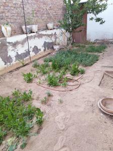 Image of 2800 Sq.ft 3 BHK Independent House for sale in Khaturia Colony, Bikaner for Rs. 32000000