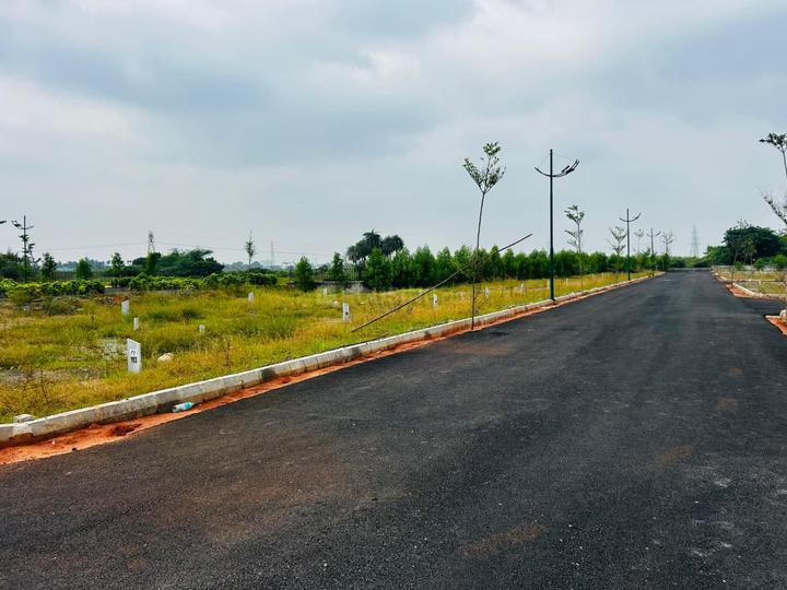 Proptera Exclusive Plots Main Image 1