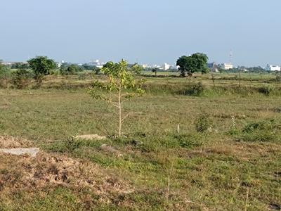 Residential Plot