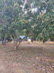 Image of 1500 Sq.ft 2 BHK Farm House for sale in Mahabalipuram, Chennai for Rs. 25000000