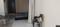Hall Image of Need female flatmate for sharing single room  in Tilak Nagar, New Delhi
