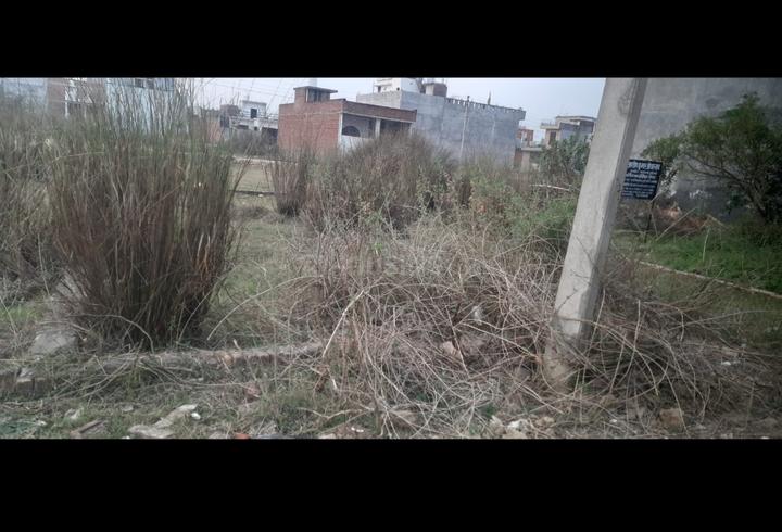 Sarojani nagar Main Image 1