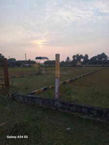 Rose garden uthiramerur Plot View 2