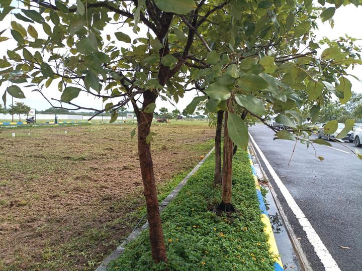 Oragadam Main Image 1