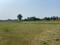 Barel Plot View 2
