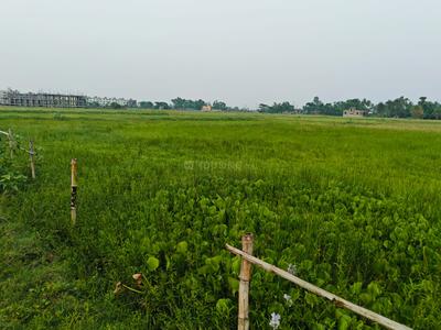Sonarpur Plot View 2