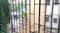Shastri Nagar, Jogeshwari West Balcony 1