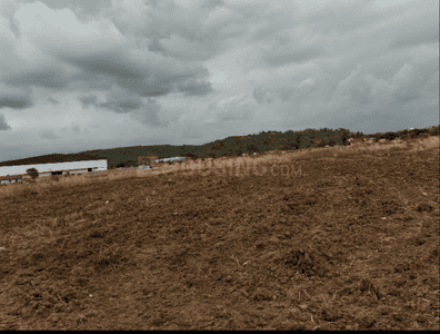 Residential Plot