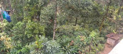 Image of 1100 Sq.ft 3 BHK Independent House for sale in Kattappana, Idukki for Rs. 650000
