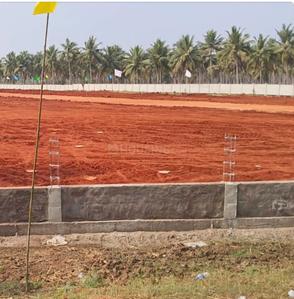 Residential Plot