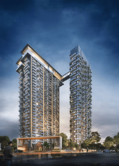 Apex D Rio Main Image 1