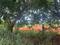 Danagalli Plot View 2