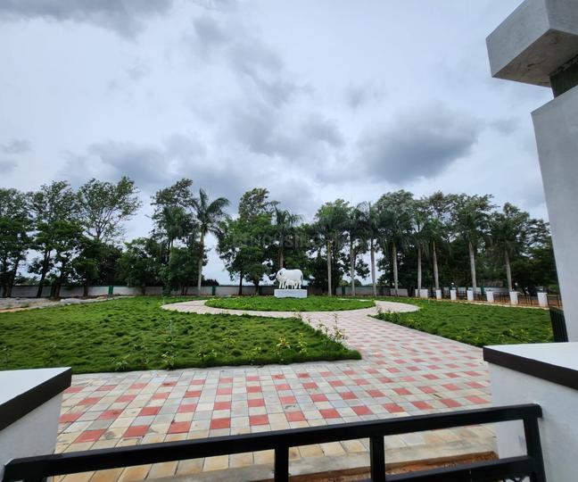 TGP Green Paradise Main Image 1