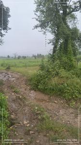 EKTA AVENUE DHARMAWALA CHOOK Plot View 2