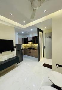 Hall Image of 1250 Sq.ft 1 BHK Apartment / Flat for rent in Suncity Jewel Of India, Bajaj Nagar Jaipur for Rs. 9000