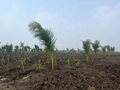 Image of 1500 Sq.ft Residential Plot / Land for sale in Madurantakam, Chennai for Rs. 1500000