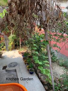 Image of 2000 Sq.ft 4.5 BHK Independent House for sale in Nayabad, Kolkata for Rs. 18000000