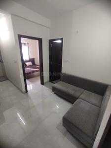 Hall Image of 1200 Sq.ft 2 BHK Apartment / Flat for rent in Palasia Indore for Rs. 21500