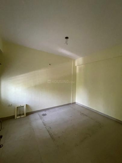 Sai carnation Main Image 1