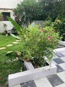 Image of 3600 Sq.ft 5 BHK Villa for sale in MC SM Avenue, Bandlaguda Jagir, Hyderabad for Rs. 35000000