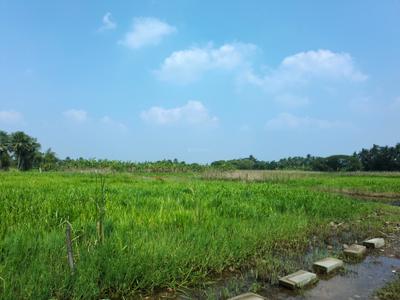 Image of 1080 Sq.ft Residential Plot / Land for sale in Natures Paradise, Joka, Kolkata for Rs. 337000