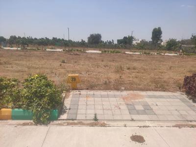 Thyme Park Plot View 3
