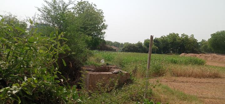 Ghuma Main Image 1
