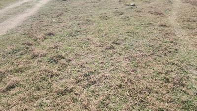 Image of 720 Sq.ft Residential Plot / Land for sale in Champasari, Siliguri for Rs. 650000