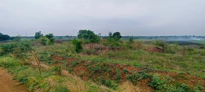 Image of 43560 Sq.ft Residential Plot / Land for sale in Medigadda, Ranga Reddy for Rs. 9000000