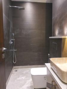 Common Bathroom Image of 1125 Sq.ft 3 BHK Builder Floor for sale in Vikaspuri New Delhi for Rs. 22000000