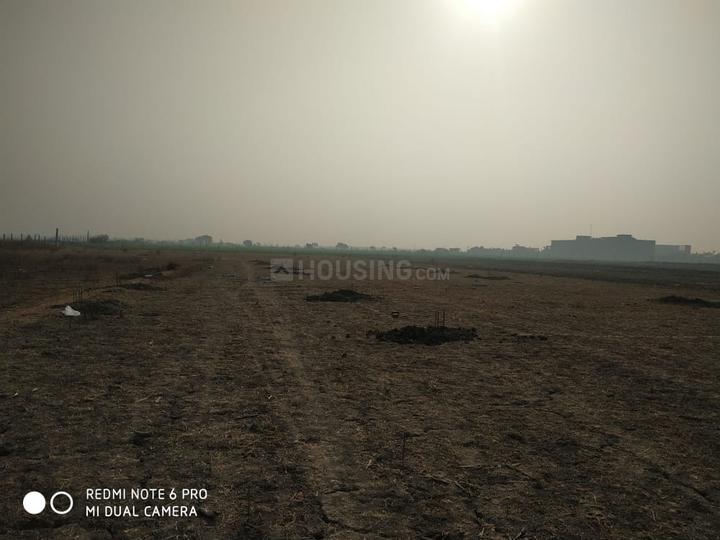 Bajaria Main Image 1