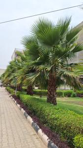 Image of 1530 Sq.ft 3 BHK Apartment / Flat for sale in Aura Homes, Nabha, Zirakpur for Rs. 7000000