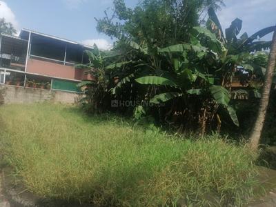 Platinum Pearl and Coral Plot View 2