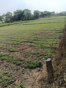 Image of 2420 Sq.ft Residential Plot / Land for sale in Mansanpally, Hyderabad for Rs. 13000000