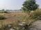Devender Colony Plot View 1