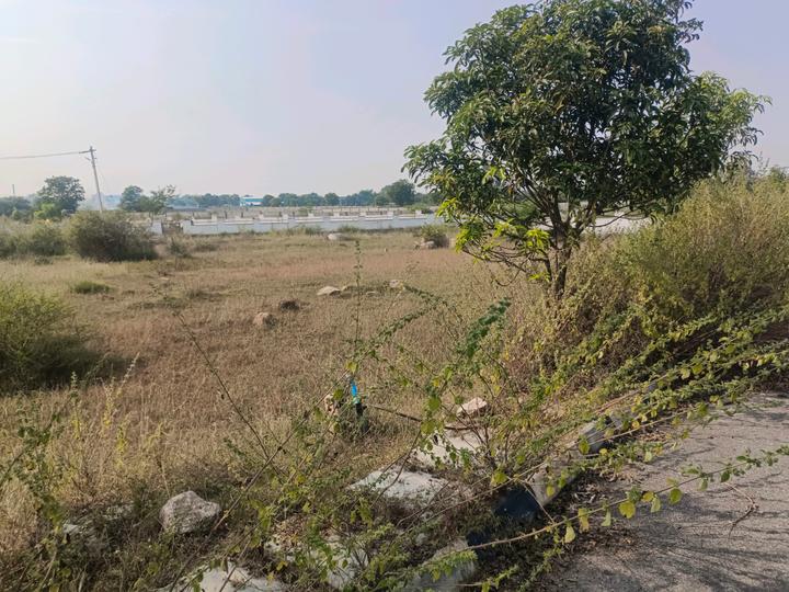Devender Colony Plot View 1