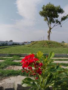 Image of 675 Sq.ft Residential Plot / Land for sale in Vinayak Greens, Hatod, Indore for Rs. 2250000