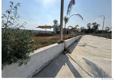 Saguna More Plot View 3