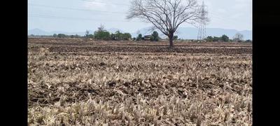 Cityprop Plots In Ranjanpada Plot View 1