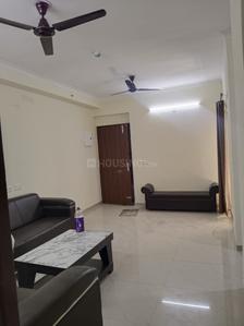 Hall Image of 1000 Sq.ft 2 BHK Apartment / Flat for rent in Amrapali Riverview, Noida Extension Greater Noida for Rs. 20000