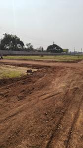 Image of 1500 Sq.ft Residential Plot / Land for sale in Naya Raipur, Raipur for Rs. 1542001